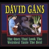 DAVID GANS: The Ones That Look the Weirdest Taste the Best