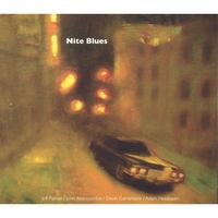 THE DEVIN GARRAMONE BAND: Nite Blues