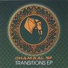 DHAMAAL SF: Transitions EP