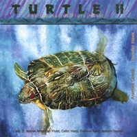 Dennis Hawk : Turtle II Healing Native Flute Music