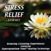 SHAD DIAMOND: Stress Relief