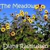 Diana Rasmussen: The Meadow