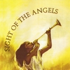 DIANNE STEELE: Sight of the Angels