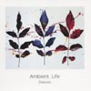 DIATONIS: Ambient Life