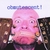 DICKAPPLETON-GUITARPLAYER.COM: obmutescent!