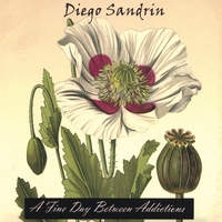 Diego Sandrin : A Fine Day Between Addictions