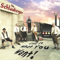 Die Schlauberger (dsb) : Call It What You Want