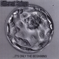 Different Strings : ...It's Only the Beginning