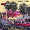 DAVID DIGGS: Eklektrik (DVD-Audio)