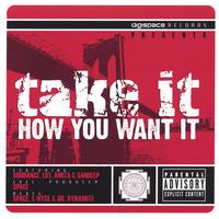 DIGISPACE RECORDS - SUNDANCE FEAT. L.O.T., AMITA & SANDEEP: Take It How You Want It
