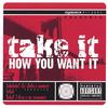 DIGISPACE RECORDS - SUNDANCE FEAT. L.O.T., AMITA & SANDEEP: Take It How You Want It