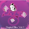 VARIOUS ARTISTS: Digital Bliss Vol 1
