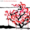 DIN / THE SOLES: You Burst Into Fire Reprise