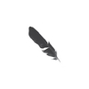 Dirty Americans: Black Feather