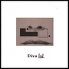 DIVA INT.: Diva Int.