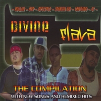 Divine Flava : The Compilation