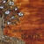 DIVISI: Roots