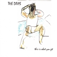 The Divys : This Is What You Get