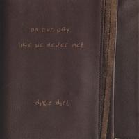 DIXIE DIRT: On Our Way Like We Never Met