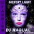 DJ NAGUAL (IGOR BOROZDIN): Silvery Light