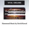 DAVID KOWAL: Vital Organs