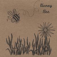 D-LUSHIS: Honey Bee