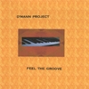 D' MANN PROJECT: Feel the Groove