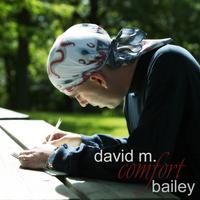 david m. bailey : Comfort