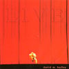 David M. Bailey on CDBaby