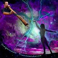 Didgwizard : DIDGERIDOO TRANSCENDENCE