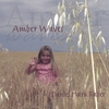 DANIEL MARK FALLER: Amber Waves
