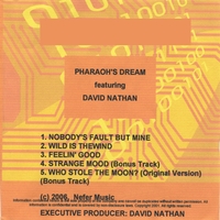 Pharaoh's Dream featuring David Nathan : Wild Is The Wind/Tribute To Nina Simone EP