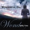 DOBIE TOMS: Wonderful Day