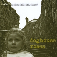 Doghouse Roses : How've You Been (All This Time)?