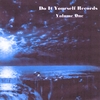 DO IT YOURSELF RECORDS: volume one-(compilation)