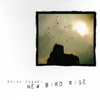 DOLPH CHANEY: New Bird Rise