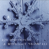 Ron Dometrovich : A Midnight Snowfall