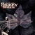 DOM F. SCAB: Binary Secrets