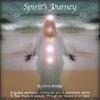 DONNA BRADLEY: Spirit's Journey