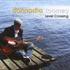 Donnacha Toomey: Level Crossing