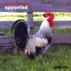 DONNI AND CLOUT: Spoonfed