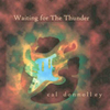 CAL DONNOLLEY: Waiting for The Thunder