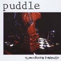 PUDDLE: Tumultuous Funhouse