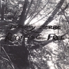 DOROTHY ZERBE: Rooted and Free