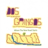 DOS GRINGOS: Where The New Road Starts