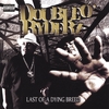 DOUBLE O' RYDERZ: Last Of A Dying Breed
