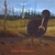 THE DOUBLE U: Hibou Mécanique