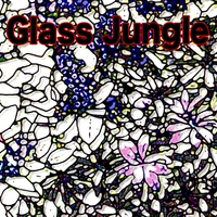 Doug McGinnis : Glass Jungle