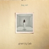 Doug Neil: Gravitylab