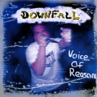 DOWNFALL: Voice of Reason